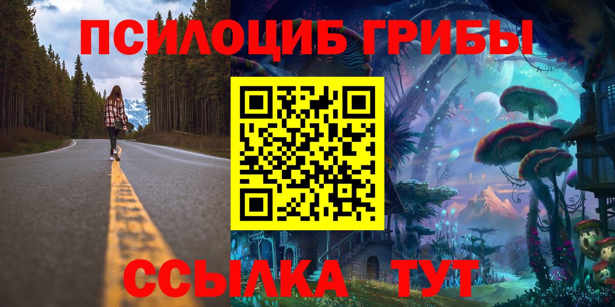 Железноводск  Псилоцибиновые грибы Magic Shrooms  цены   Вход с VPN 