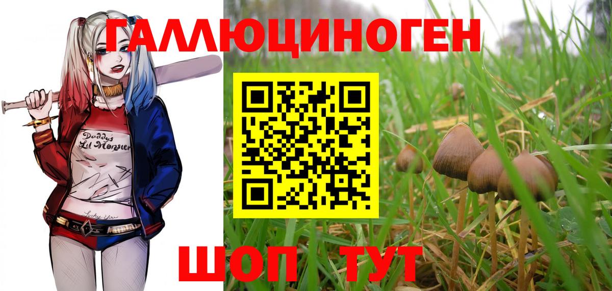 Галлюциногенные грибы Cubensis Железноводск